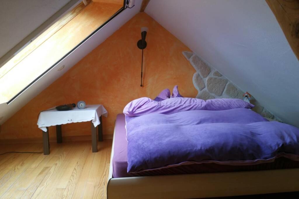 Ferienwohnung Roswitha In Blieskastel Biesingen Zewnętrze zdjęcie